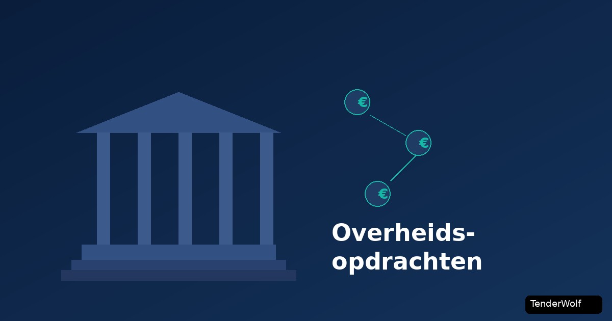 Waarom overheidsopdrachten belangrijk zijn voor ondernemers